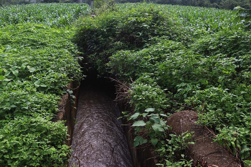 irrigation.jpg