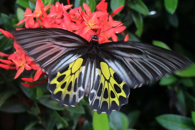 48 Hours in Chiang Dao District (24 - 26 October 2021)