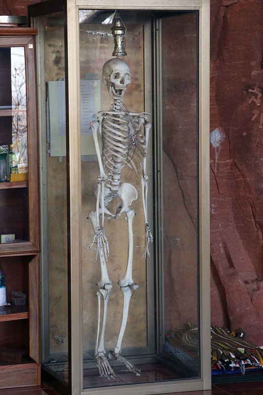 skeletal exhibit.jpg