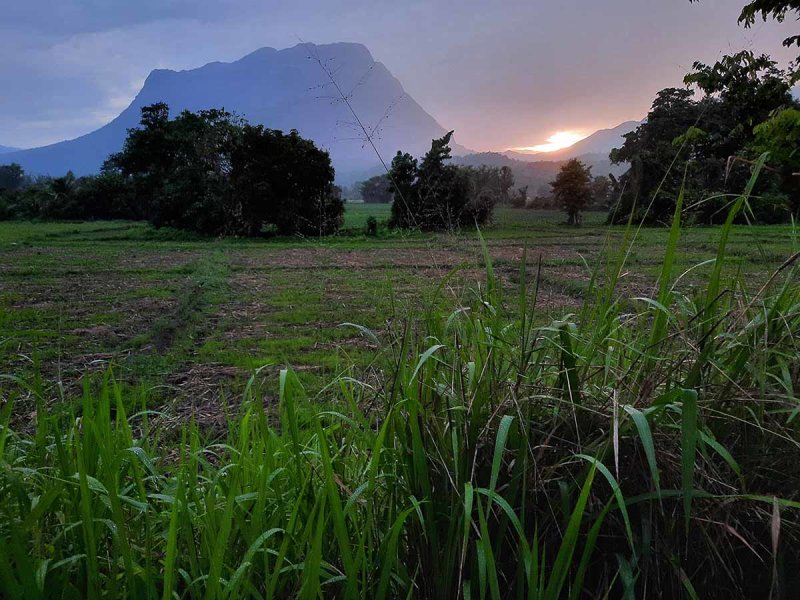 doi luang.jpg