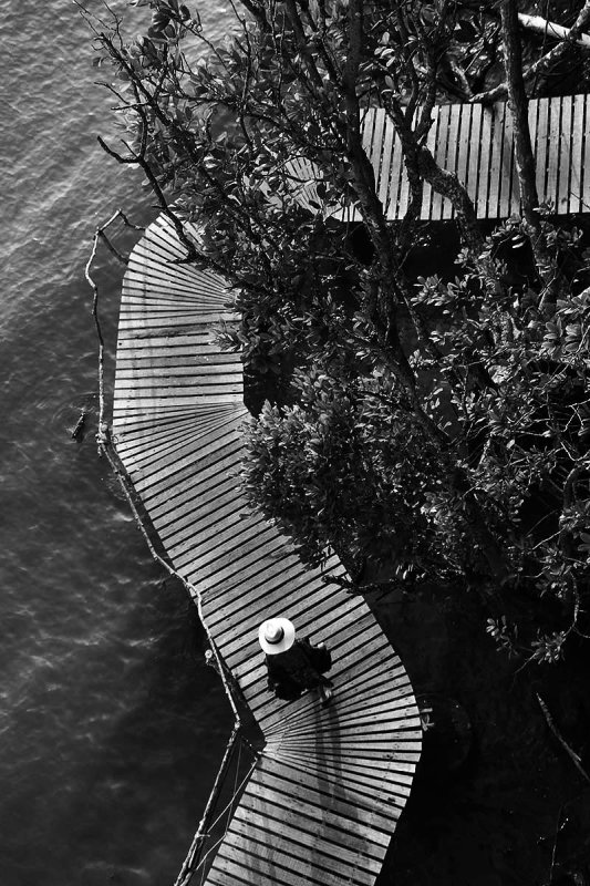 boardwalk.jpg