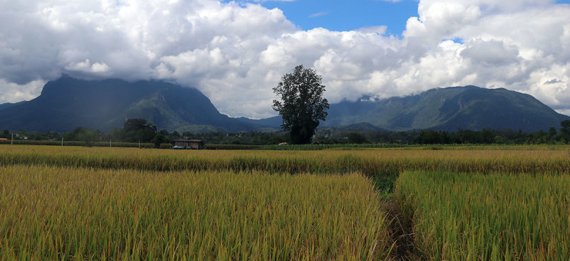 48 Hours in Chiang Dao District (24 - 26 October 2021)