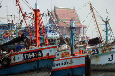 fishing boats.jpg