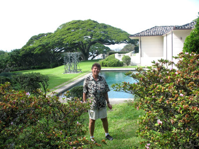 Monkeypod tree & pool - Spalding House - Honolulu Museum of Art