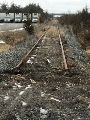 Tracks cut across University Avenue. These tracks formerly headed north of Belleville
