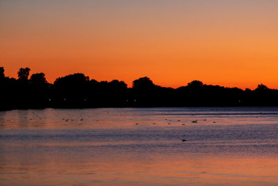 Bay of Quinte before sunrise 2019 August 31
