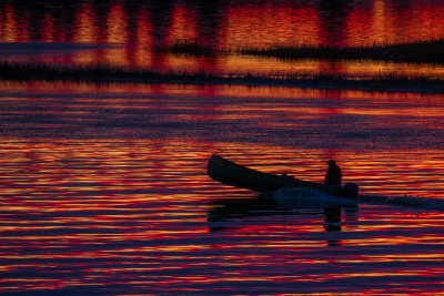 2018 October 22 Canoe in silhouette on water reflecting purple and yellow from the sky before sunrise.