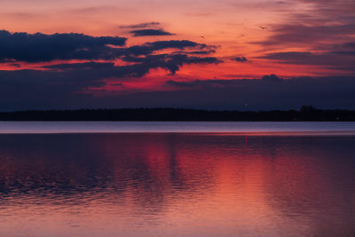 1024_2L0A6970_191026_0707.jpg