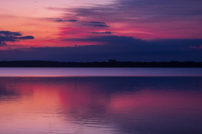 1024_2L0A6995_191026_0714.jpg