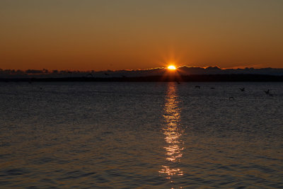 Sunrise across the Bay of Quinte 2019 November 6
