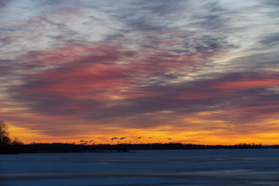 Bay of Quinte sky before sunrise 2020 January 7