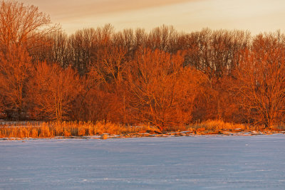 North shore of the Bay of Quinte at sunrise