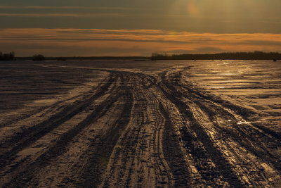 Tracks on the ice of the Bay of Quinte 2021 February 4