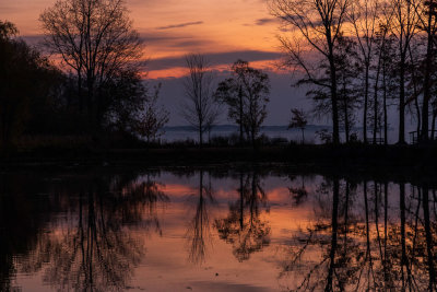 Turtle Pond before sunrise