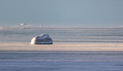 20220121-__R58891-Edit.jpg