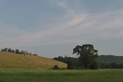 (20210729_192809_ooc_z50)