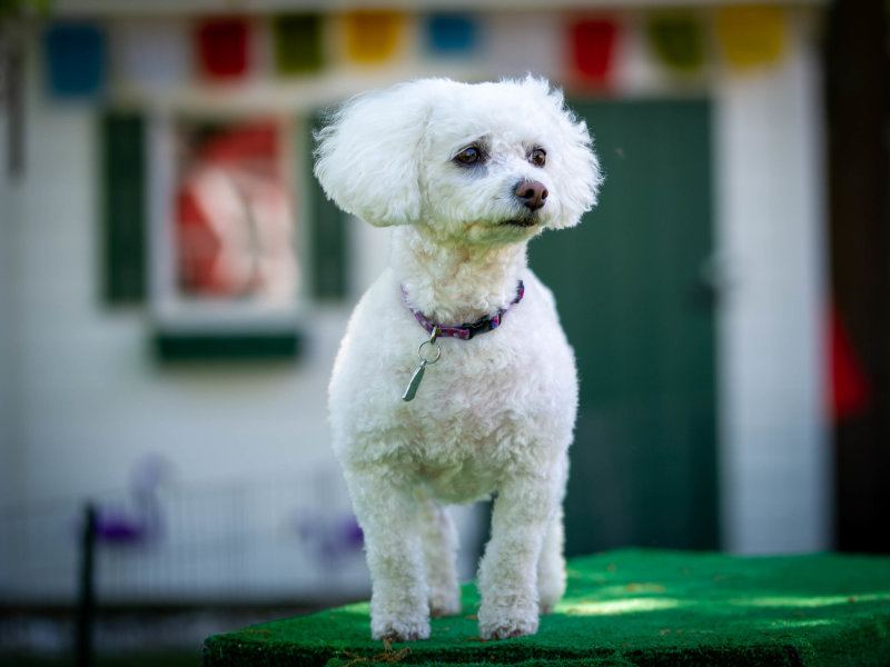 Thursday, June 11, 2020
