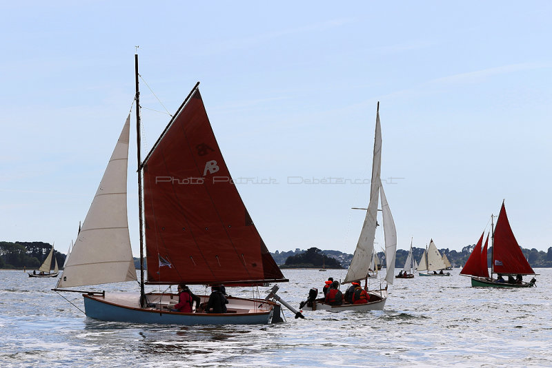 2720 Semaine du Golfe 2019 - IMG_9506 DxO Pbase.jpg