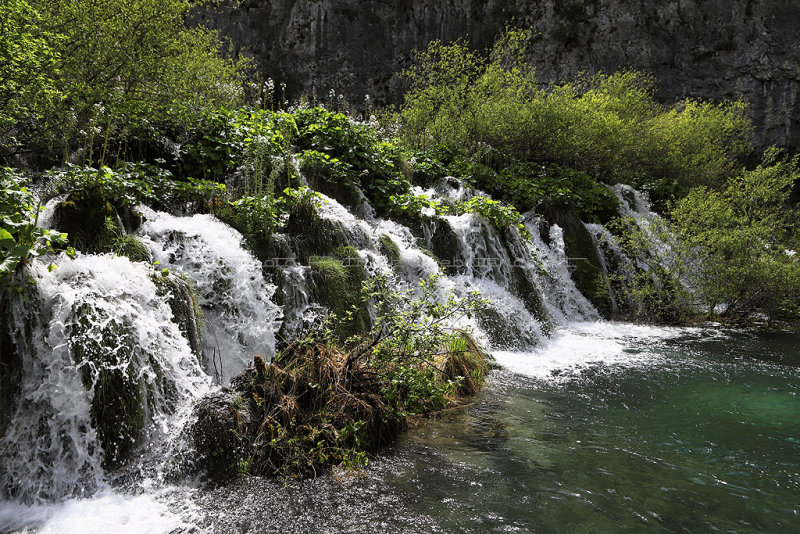 887 - Vacances en Croatie en mai 2019 - IMG_5299 DxO Pbase.jpg