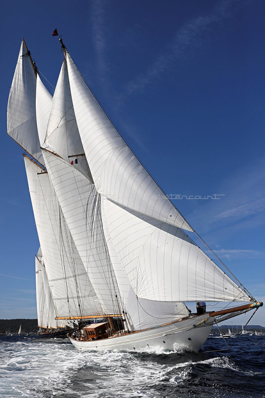624 - Voiles de Saint tropez 2019 - IMG_9180 DxO Pbase.jpg
