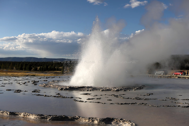 4484 - Grand Teton and Yellowstone NP road trip 2019 - IMG_6448 DxO Pbase.jpg