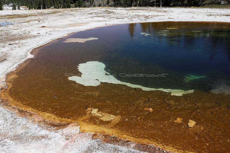 4807 - Grand Teton and Yellowstone NP road trip 2019 - IMG_6759 DxO Pbase.jpg