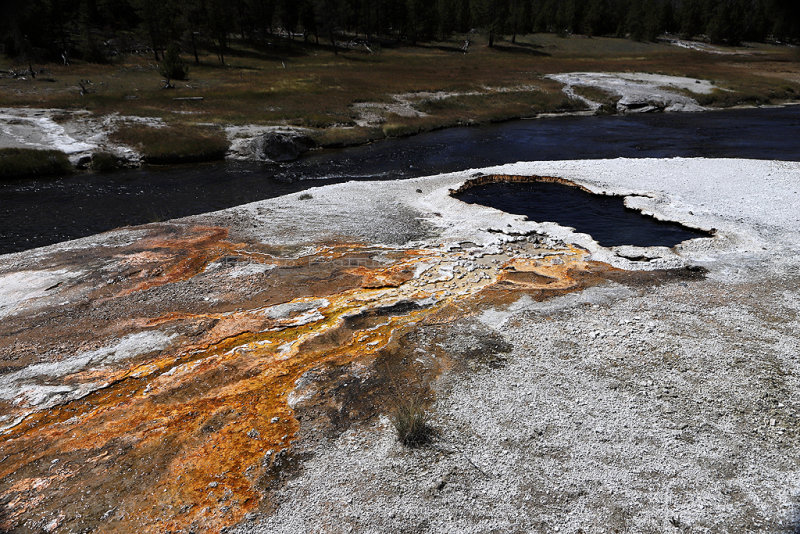 5068 - Grand Teton and Yellowstone NP road trip 2019 - IMG_7015 DxO Pbase.jpg