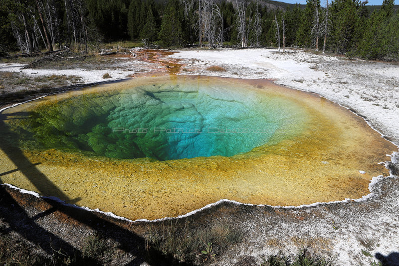 5466 - Grand Teton and Yellowstone NP road trip 2019 - IMG_7403 DxO Pbase.jpg