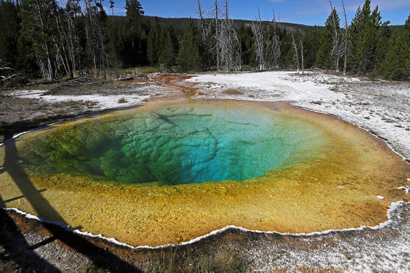 5487 - Grand Teton and Yellowstone NP road trip 2019 - IMG_7423 DxO Pbase.jpg