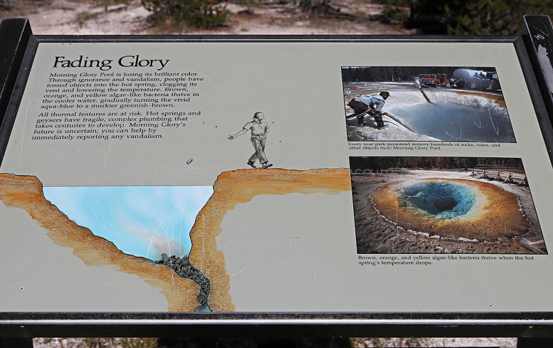 5491 - Grand Teton and Yellowstone NP road trip 2019 - IMG_7428 DxO Pbase.jpg