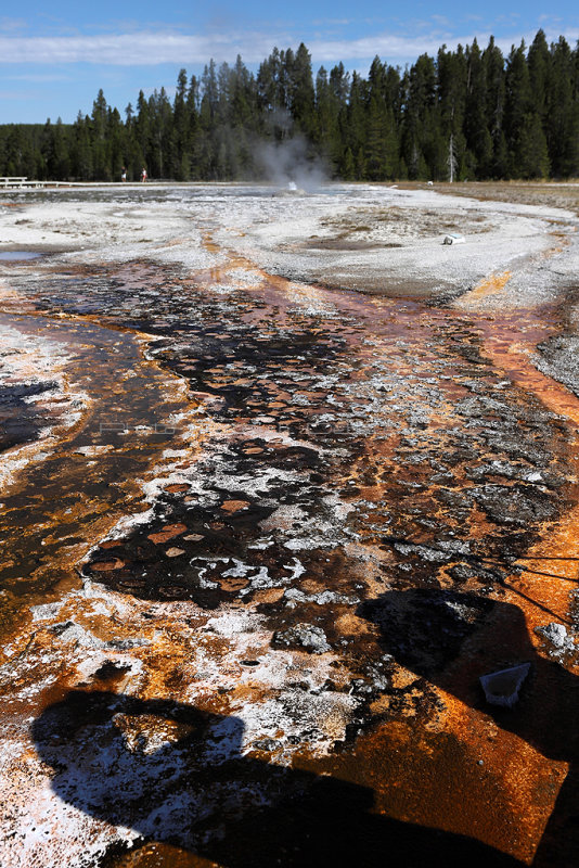 5507 - Grand Teton and Yellowstone NP road trip 2019 - IMG_7447 DxO Pbase.jpg