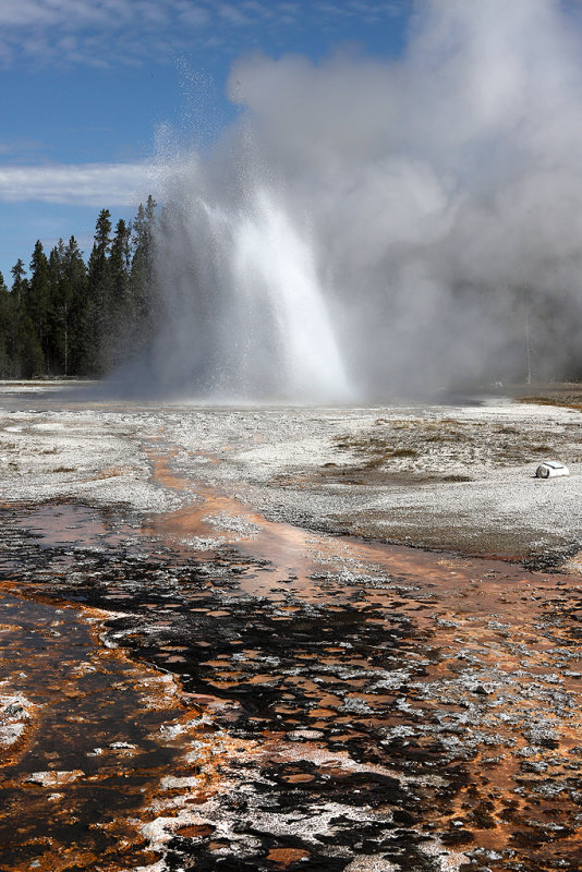 5512 - Grand Teton and Yellowstone NP road trip 2019 - IMG_7452 DxO Pbase.jpg