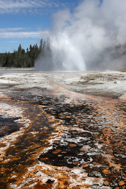 5513 - Grand Teton and Yellowstone NP road trip 2019 - IMG_7453 DxO Pbase.jpg