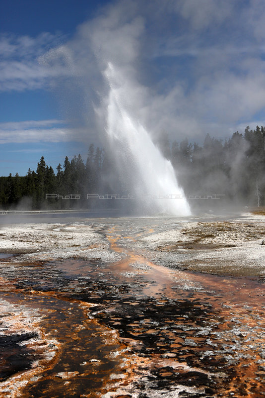 5527 - Grand Teton and Yellowstone NP road trip 2019 - IMG_7466 DxO Pbase.jpg