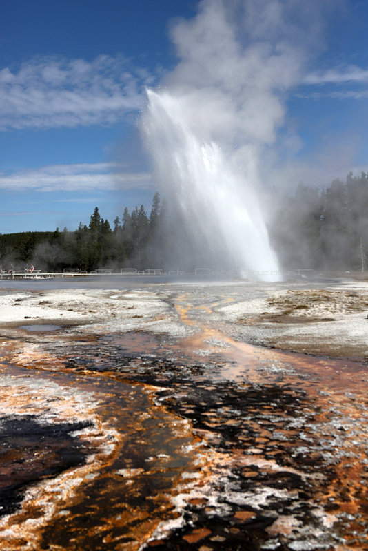 5528 - Grand Teton and Yellowstone NP road trip 2019 - IMG_7467 DxO Pbase.jpg