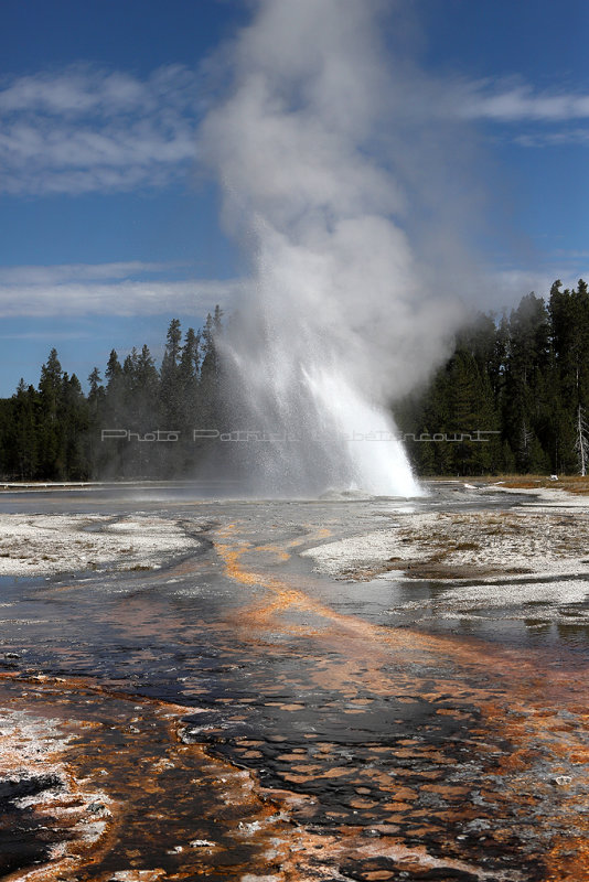 5536 - Grand Teton and Yellowstone NP road trip 2019 - IMG_7478 DxO Pbase.jpg