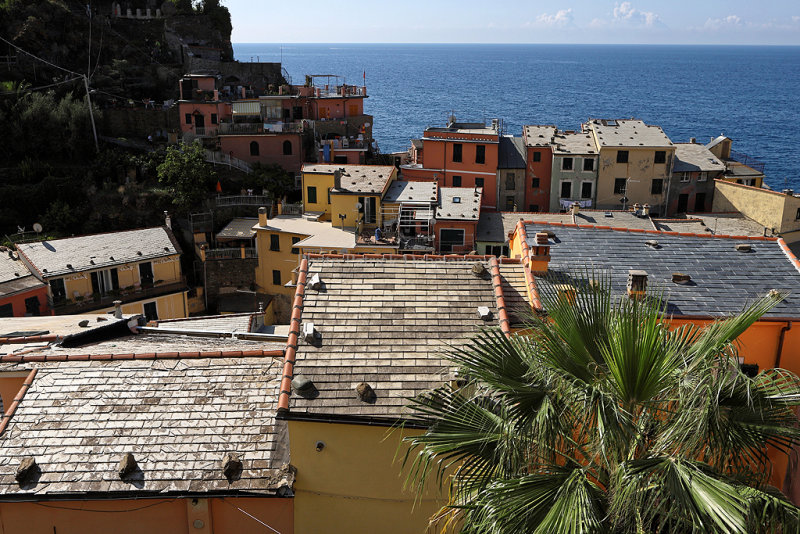 677 Dcouverte des Cinque Terre - IMG_3503_DxO Pbase.jpg