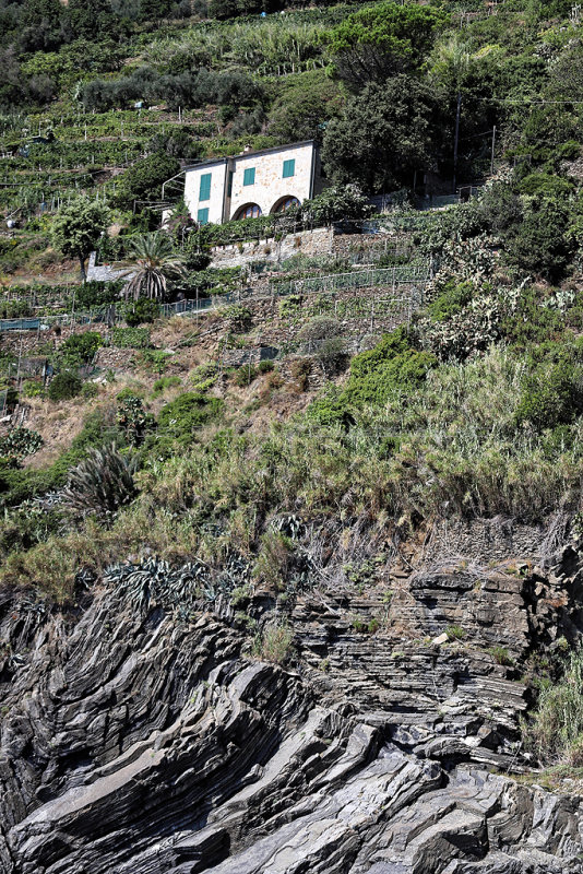 1580 Dcouverte des Cinque Terre - IMG_4489_DxO Pbase.jpg