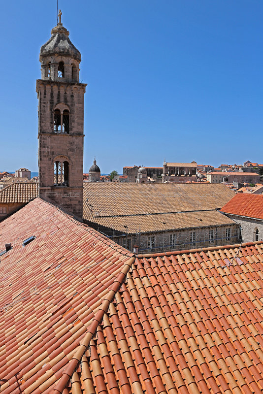 3371 - Vacances en Croatie en mai 2019 - IMG_8098 DxO Pbase.jpg