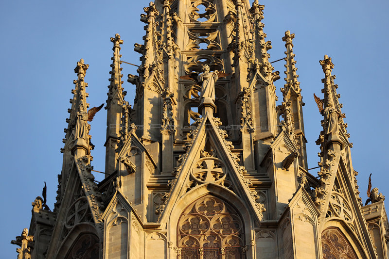 Dcouverte de la ville de Barcelone - Visite du quartier de la cathdrale