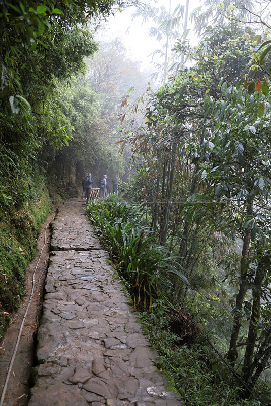 386 - Two weeks in Vietnam - IMG_0398 DxO Pbase.jpg