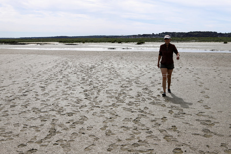 110 - Week end en Baie de Somme aout 2018 - IMG_5216 DxO Pbase.jpg