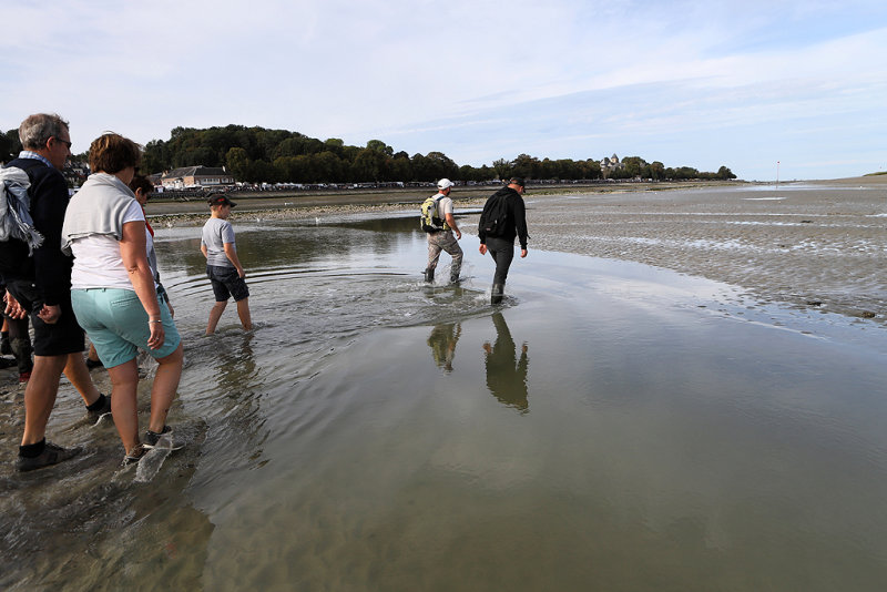 86 - Week end en Baie de Somme aout 2018 - IMG_5185 DxO Pbase.jpg