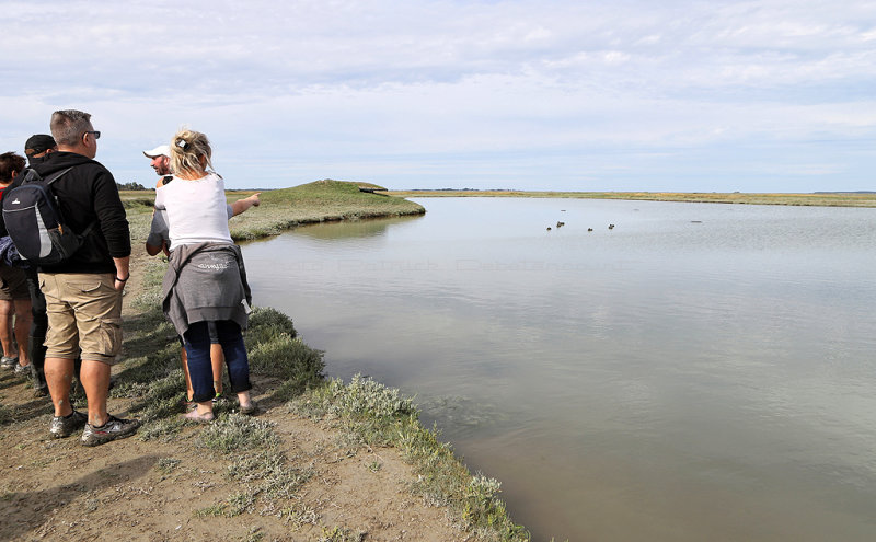 92 - Week end en Baie de Somme aout 2018 - IMG_5194 DxO Pbase.jpg