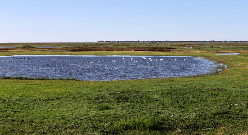 184 - Week end en Baie de Somme aout 2018 - IMG_5357 DxO Pbase.jpg