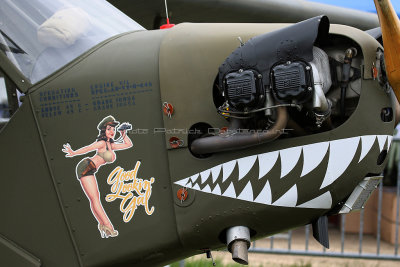 118 Meeting aerien de la Ferte Alais 2019 - IMG_0837 DxO Pbase.jpg