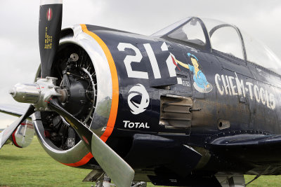 140 Meeting aerien de la Ferte Alais 2019 - IMG_9565 DxO Pbase.jpg