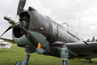 158 Meeting aerien de la Ferte Alais 2019 - IMG_9584 DxO Pbase.jpg