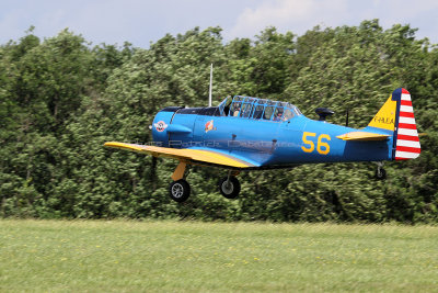 303 Meeting aerien de la Ferte Alais 2019 - IMG_0873 DxO Pbase.jpg