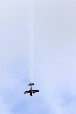 828 Meeting aerien de la Ferte Alais 2019 - IMG_1407 DxO Pbase.jpg
